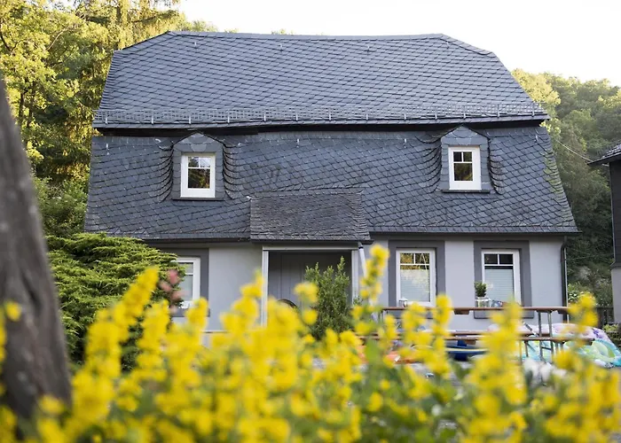 キャンプ場 Harfenmuehle Morschied (Birkenfeld)