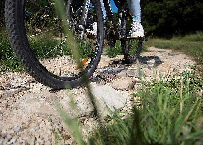 キャンプ場 Harfenmuehle