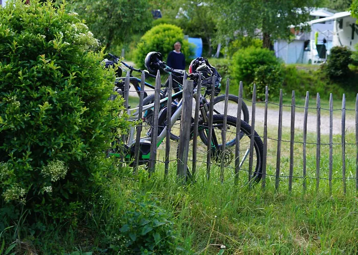 Harfenmuehle キャンプ場 Morschied (Birkenfeld)