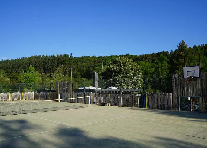 キャンプ場 Harfenmuehle Morschied (Birkenfeld)