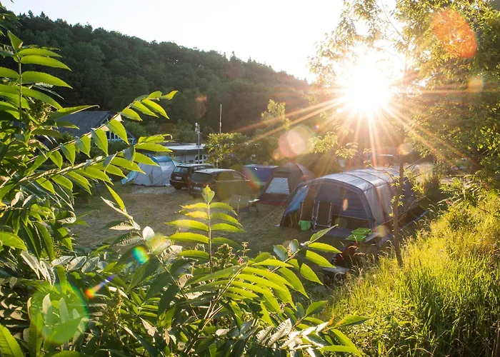 キャンプ場 Harfenmuehle *